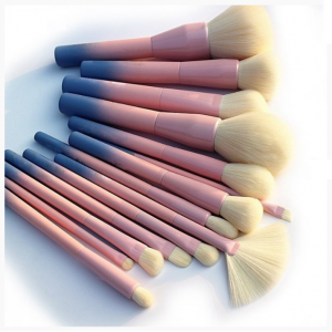 التدرج اللون برو 14pcs فرش الماكياج مجموعة أدوات التجميل بودرة ظلال العيون كحل فرشاة المكياج فرشاة أداة